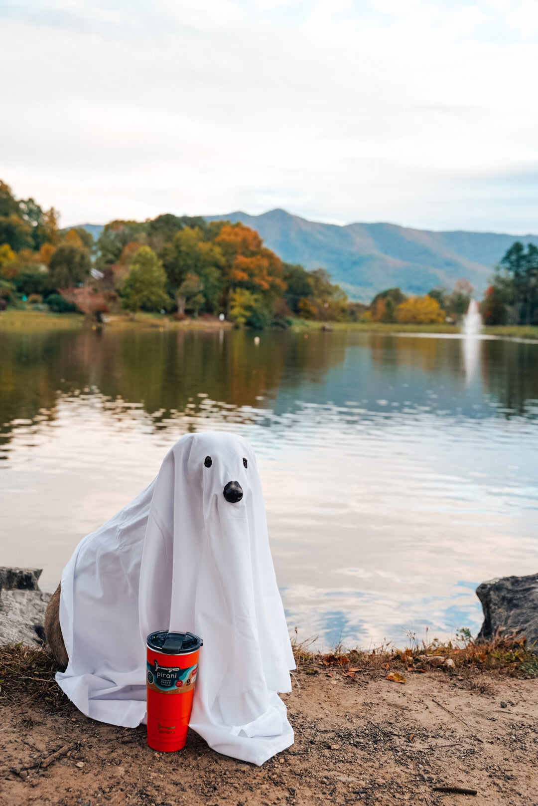 Three Easy Ways to Reduce Halloween Waste